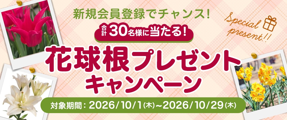 新規登録でチャンス！花球根プレゼントキャンペーン