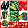 果菜の種 福袋 6種セット