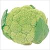 カリフラワー 遠州みどり花やさい