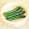 ずーっとフリーダム 自根苗