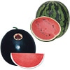 おいしい大玉スイカ 2種セット 接木苗