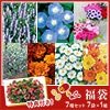 花の種福袋 いろいろお楽しみセット