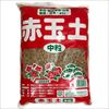 赤玉土