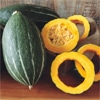 神奈川 伊藤農園カボチャ スイートタックル 3玉