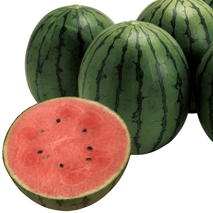 スイカ ピノ・ガール 接木苗3ポット1組