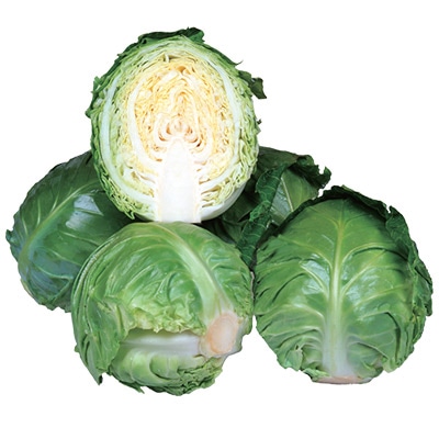 ミニキャベツ ミニックス40