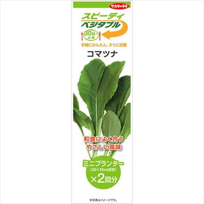 スピーディベジタブル コマツナ（2回分）