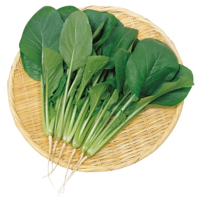 コマツナ 浜美2号