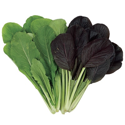 コマツナ 小松菜 ミックス