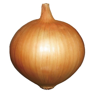 タマネギ オーロラ