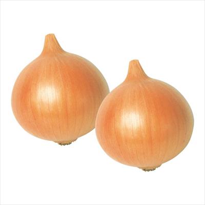 タマネギ ハッピー501