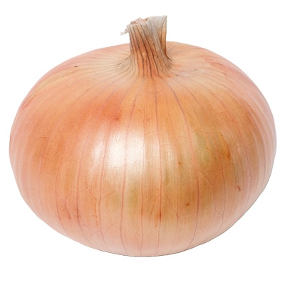 タマネギ ハイパワーゴールド