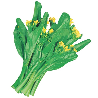 中国野菜 中国菜心
