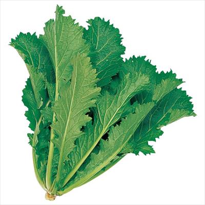 中国野菜  セリフォン