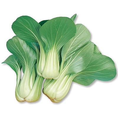 中国野菜 チンゲンサイ