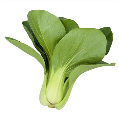 チンゲンサイ 頼光