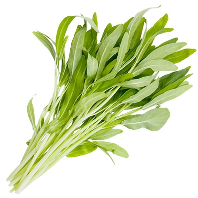 エンサイ なつサラダ ホワイト