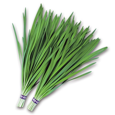 ニラ タフボーイ