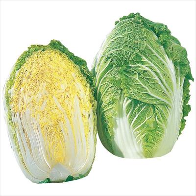 ハクサイ みねぶき505