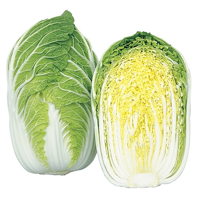 ハクサイ 初美月