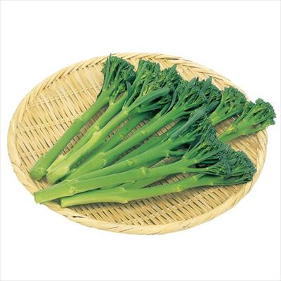 茎ブロッコリー スティックセニョール