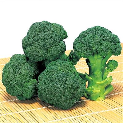 ブロッコリー 沢ゆたか