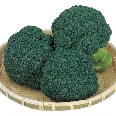 ブロッコリー おはよう(R)