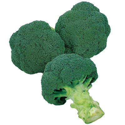 ブロッコリー レイトドーム