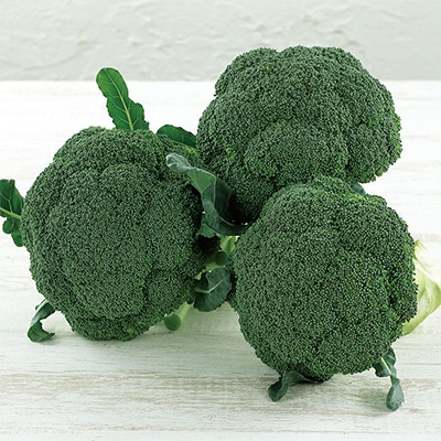 ブロッコリー アーリーキャノン