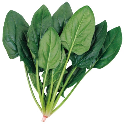 ホウレンソウ ドンキー