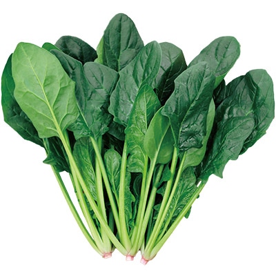 ホウレンソウ 強力まんぷく