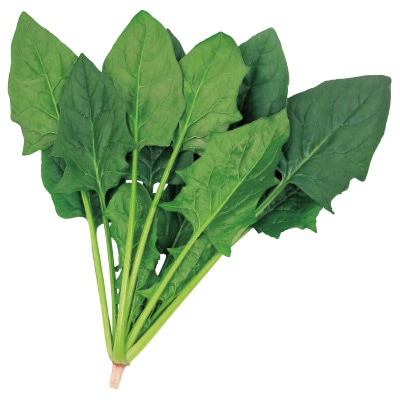 ホウレンソウ ゴードン