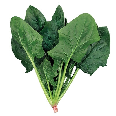 ホウレンソウ ブライトンスパーク