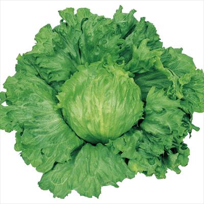 レタス オーディブル