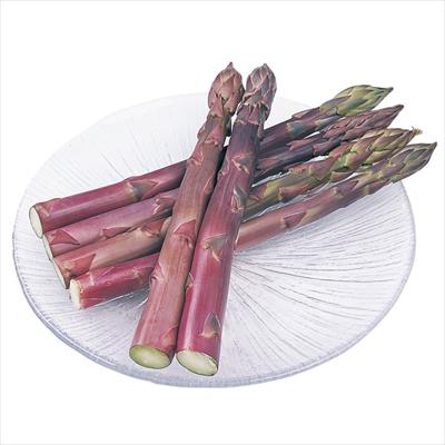 アスパラガス パープルウェルカム