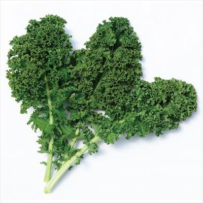 ケール 食べる健康 ケール