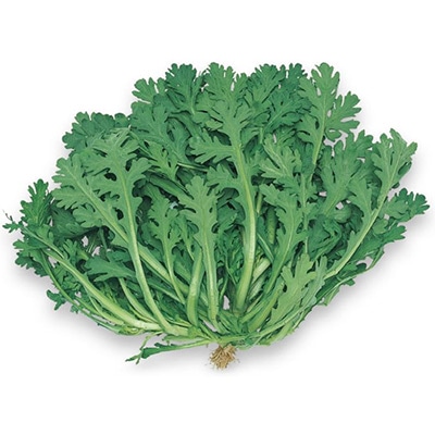 シュンギク  さとにしき