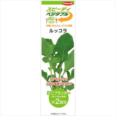 スピーディベジタブル ルッコラ （2回分）