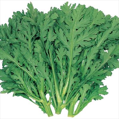 シュンギク さとあきら