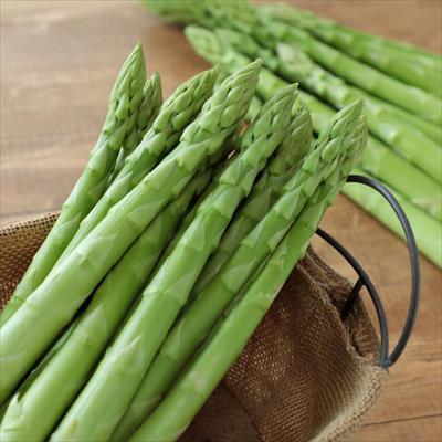 アスパラガス りゅうりょく