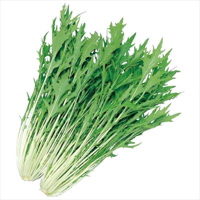 ミズナ 極早生水天