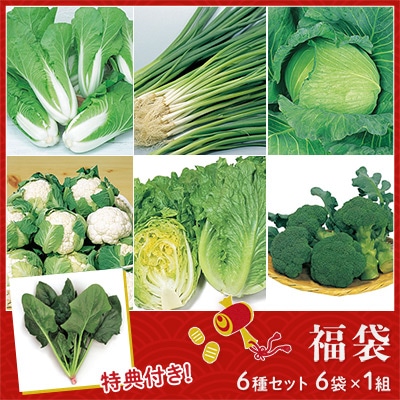 葉菜の種 福袋 6種セット