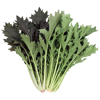 ミズナ 水菜 ミックス