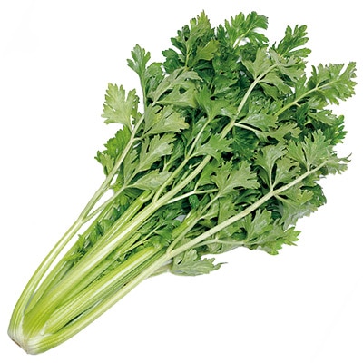 セロリ コーネリアス