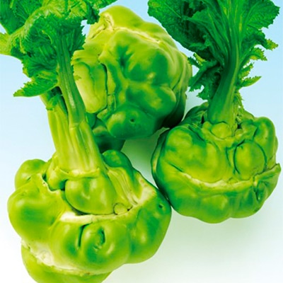 玉タカナ 貴州搾菜