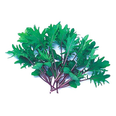 ベビーリーフ 切葉レッドケール