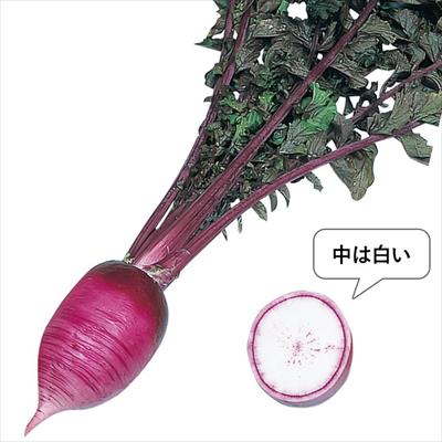 ダイコン からいね赤