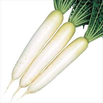 ダイコン 冬みねセブン