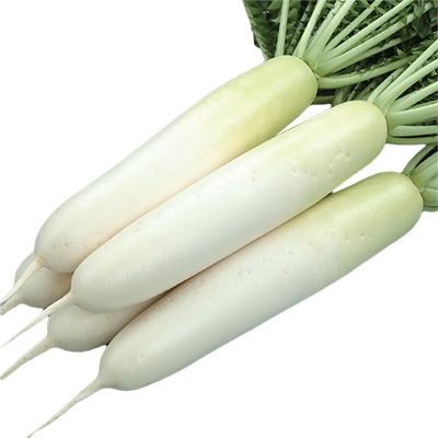 ダイコン 夏秋自慢(R)