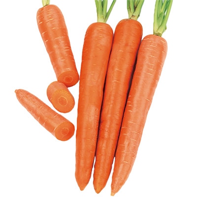 ニンジン あまうま耐病にんじん ピース